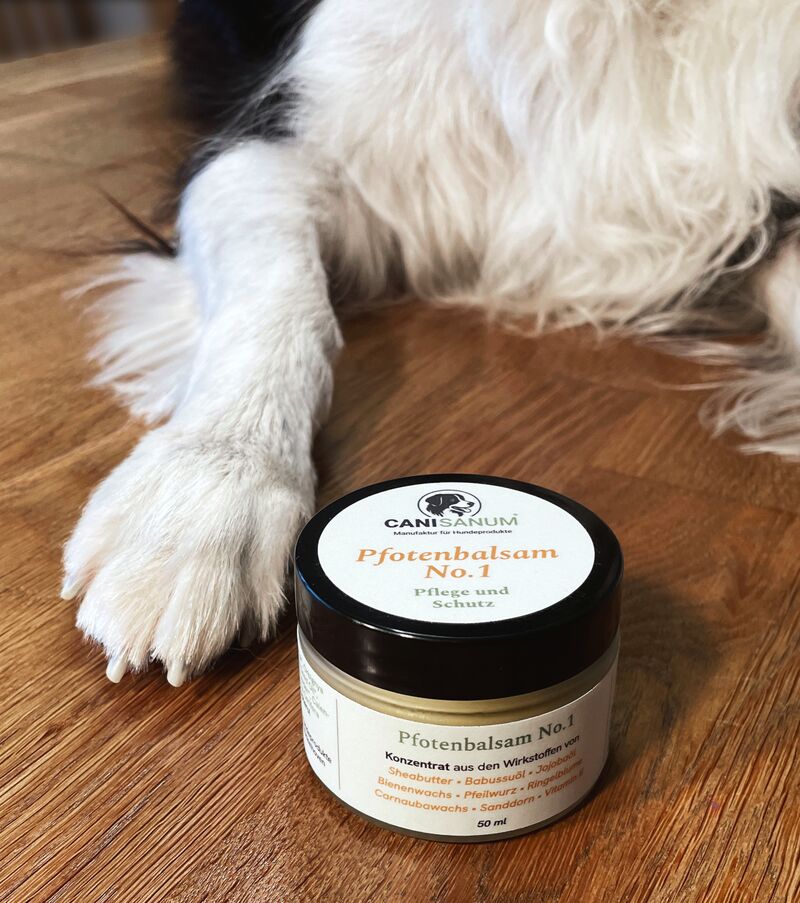 Canisanum® Pfotenbalsam No. 1 für Hunde im satinierten Glastiegel neben einer Hundepfote auf Holzboden
