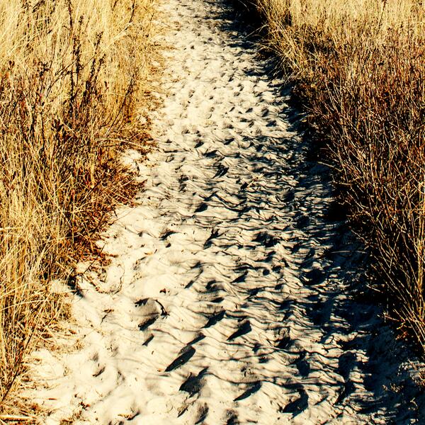 Sandiger Feldweg zwischen trockenem Gras in der Sommersonne