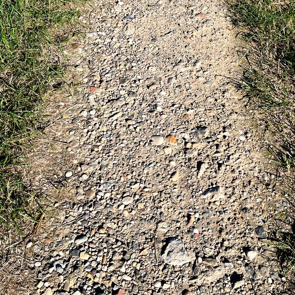Schotterweg aus grobem, scharfkantigem Kies zwischen Grasrändern